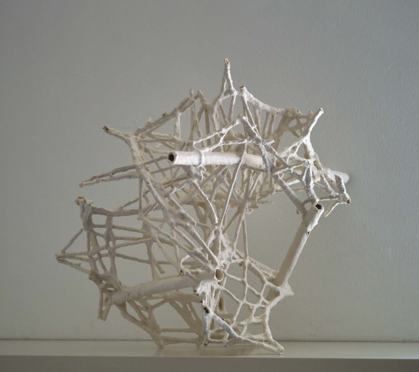 Szőcs Andrea / biomorphic-structure